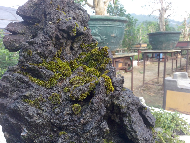 IMG20131019011.jpg