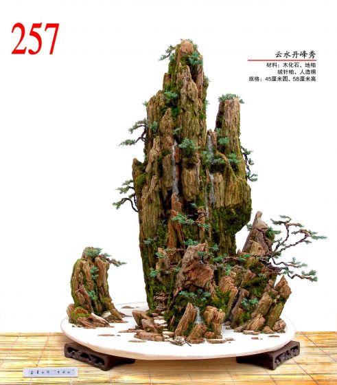 29.JPG
