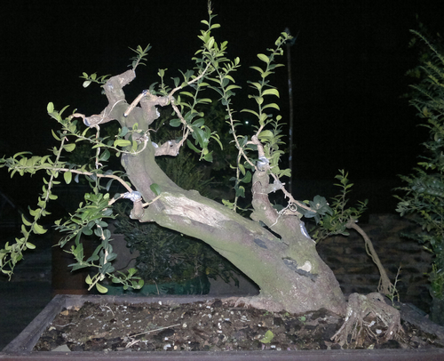 201310201601.jpg