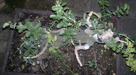 201310201604.jpg