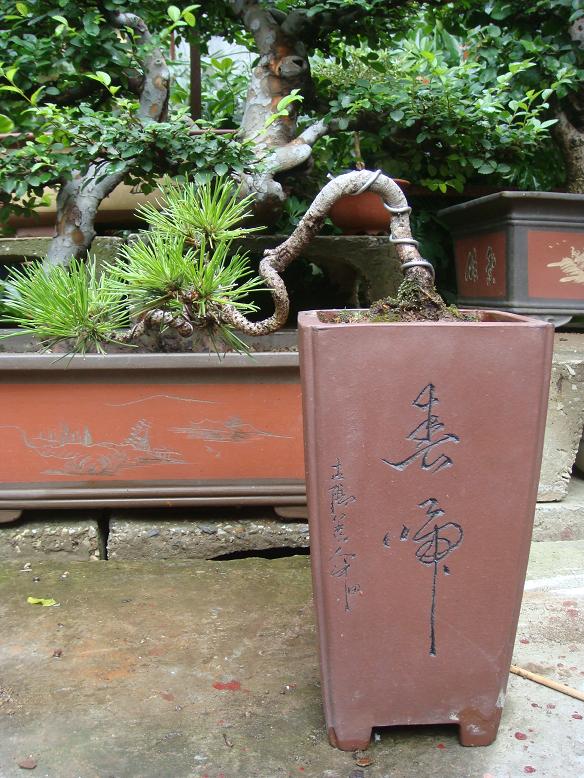 DSC05478.JPG