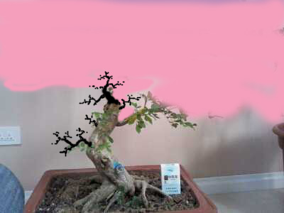172226entaaq3y2asla3qs_jpg_thumb.jpg
