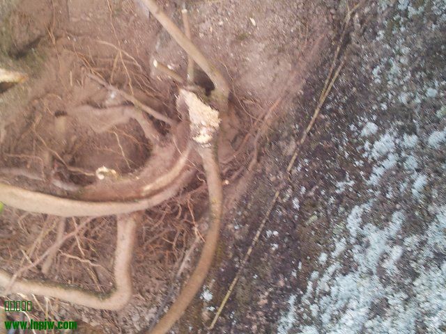 20131023_155800.jpg