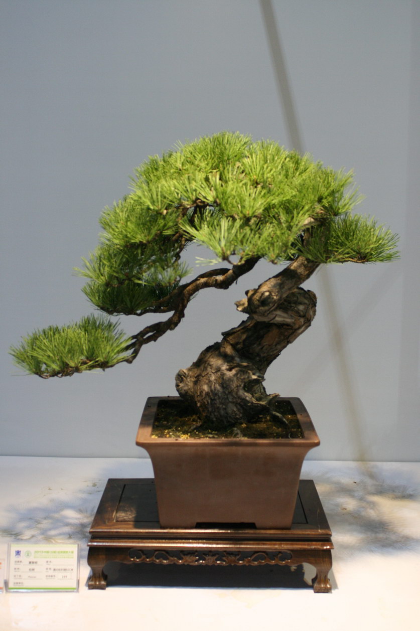 SBQ_20130929_1051.JPG