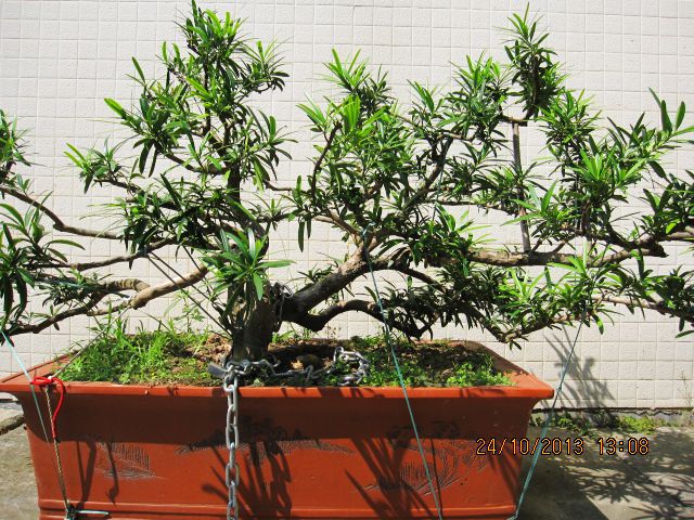 Ƭ 042.jpg