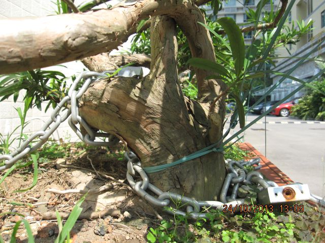 Ƭ 045.jpg