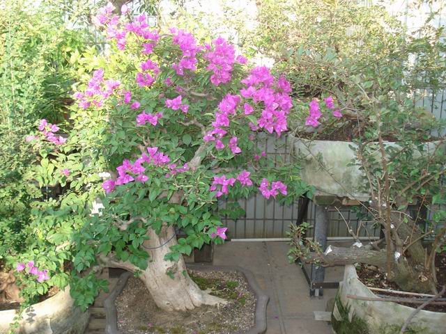 DSC01482.JPG