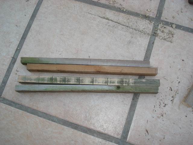 DSC01453.JPG