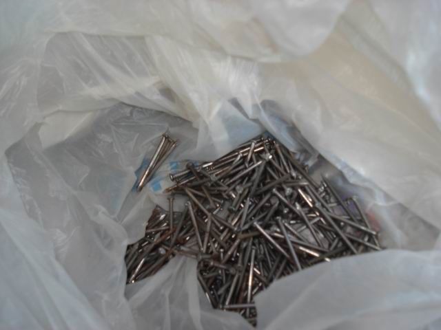DSC01456.JPG