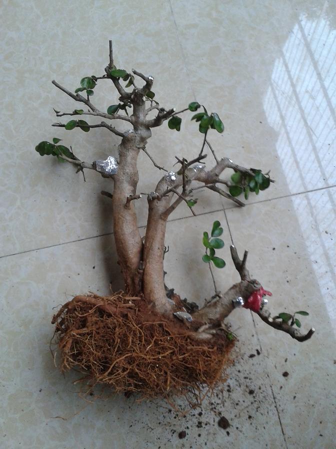 20131025_174006.jpg