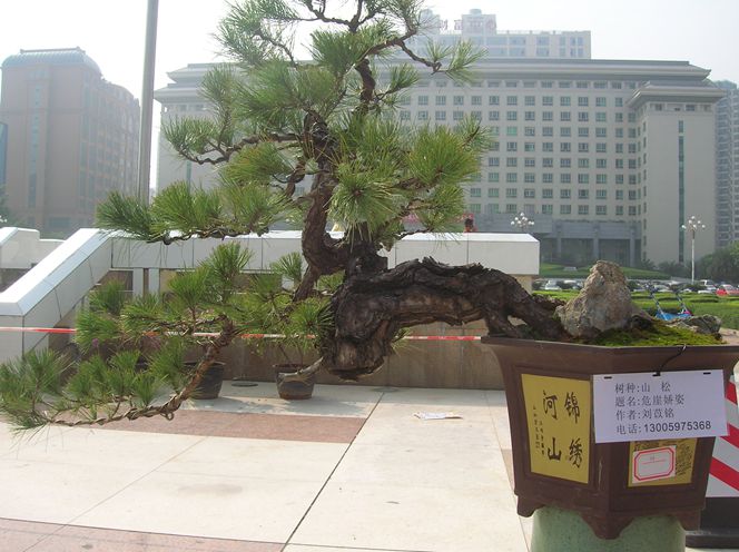 DSCN4379.JPG