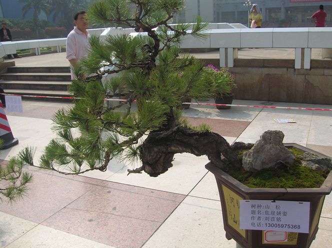 DSCN4380.JPG