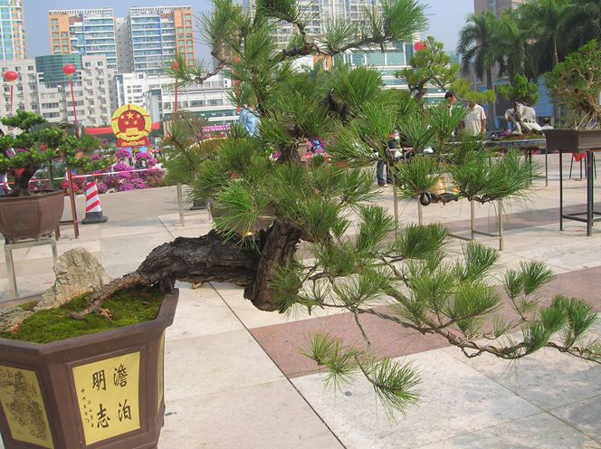 DSCN4381.JPG