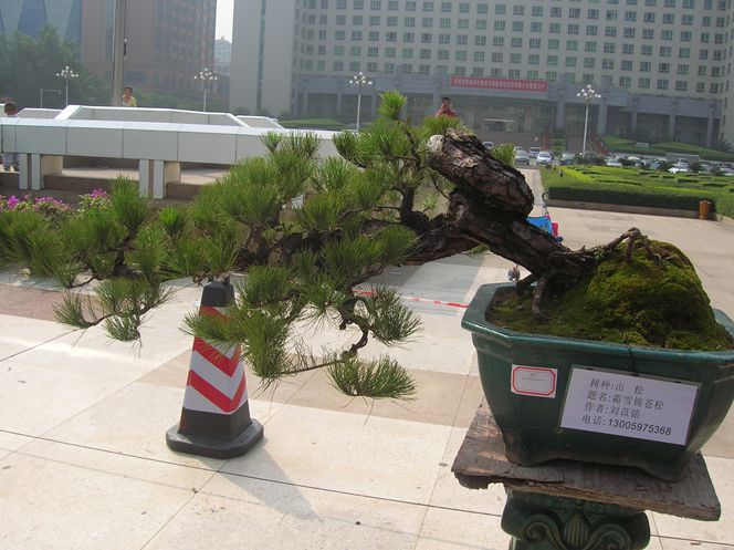 DSCN4376.JPG