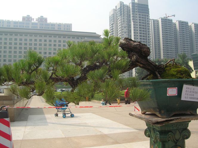 DSCN4378.JPG