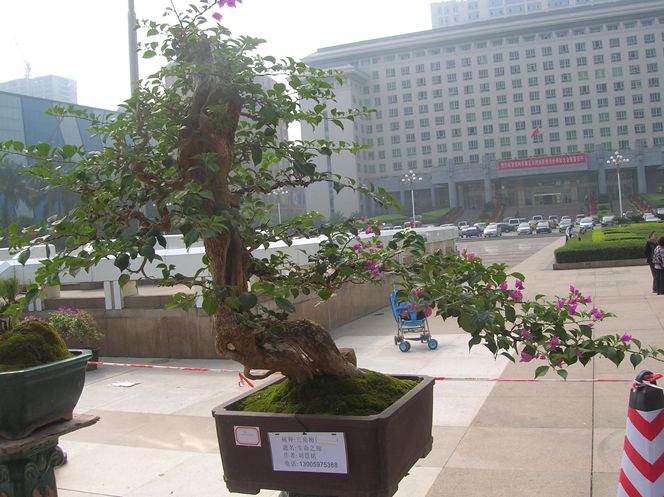DSCN4366.JPG