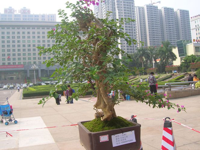 DSCN4368.JPG