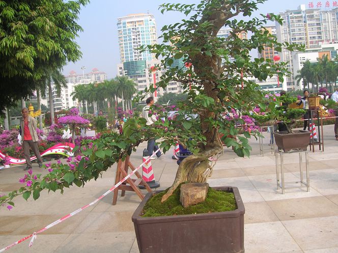 DSCN4369.JPG