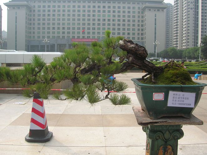 DSCN4375.JPG