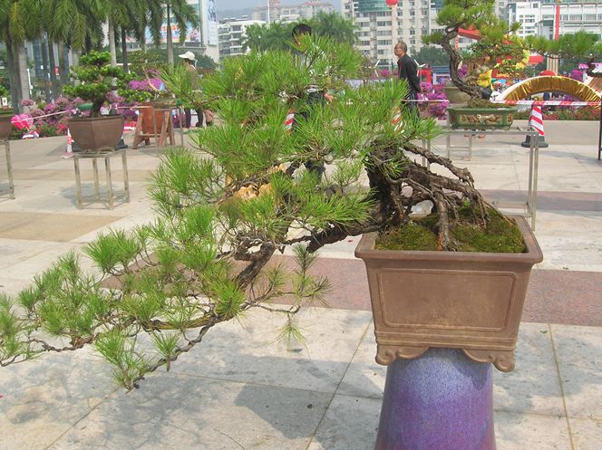 DSCN4384.JPG