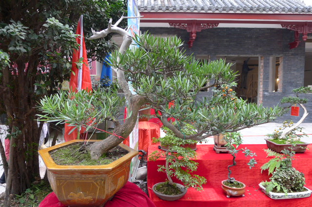 P1020471.JPG