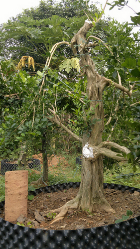 201310271621.jpg