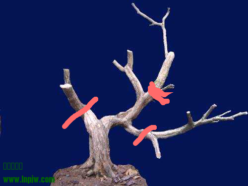 IMG_20131031_2.png