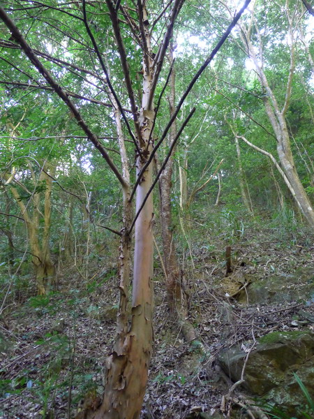 P1140044.JPG