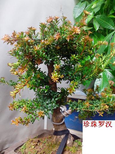 IMG_20131102_151225.jpg