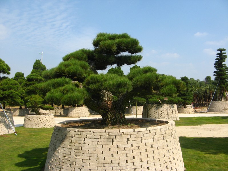 conew_img_7625.jpg