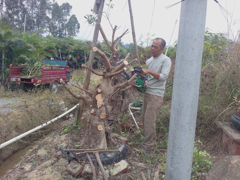 IMG20131103007.jpg
