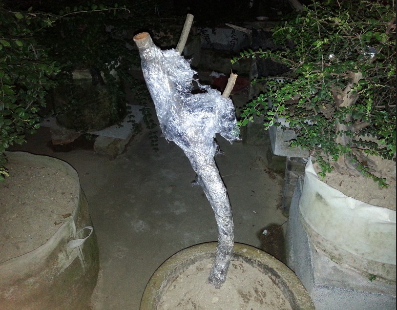 QQͼ20131103200558.jpg