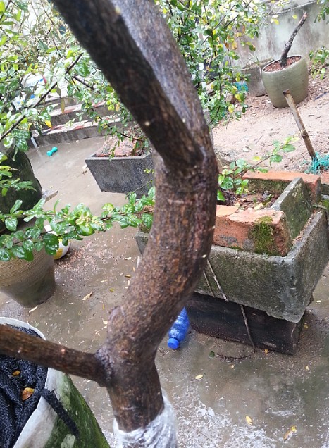 QQͼ20131103200610.jpg