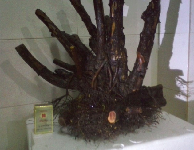 QQͼƬ20131103204941.jpg
