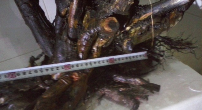 QQͼƬ20131103204954.jpg