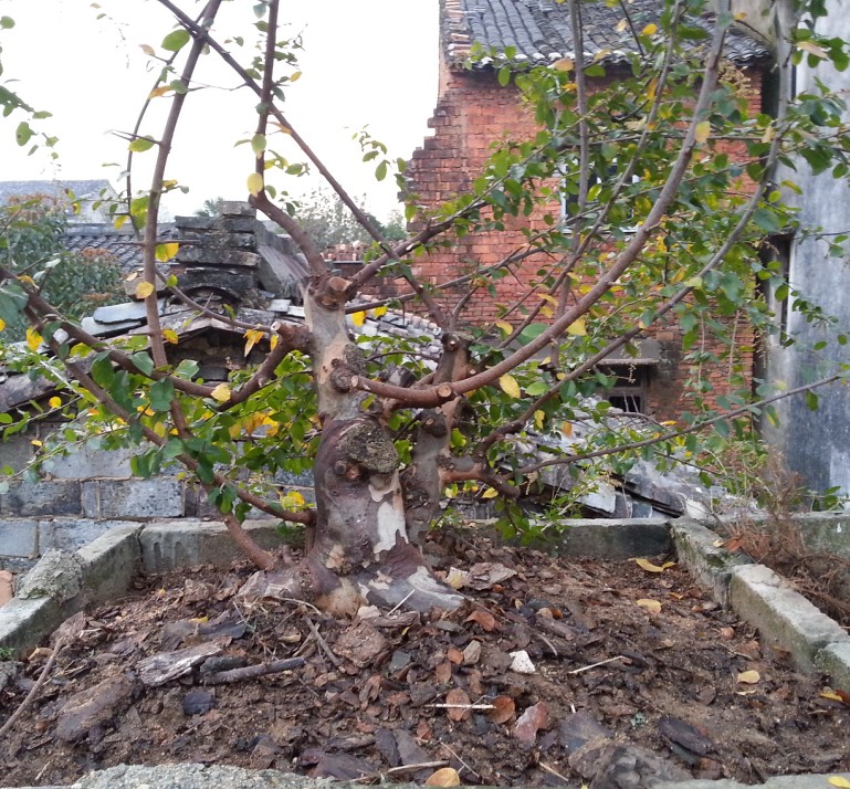 QQͼ20131103211350.jpg
