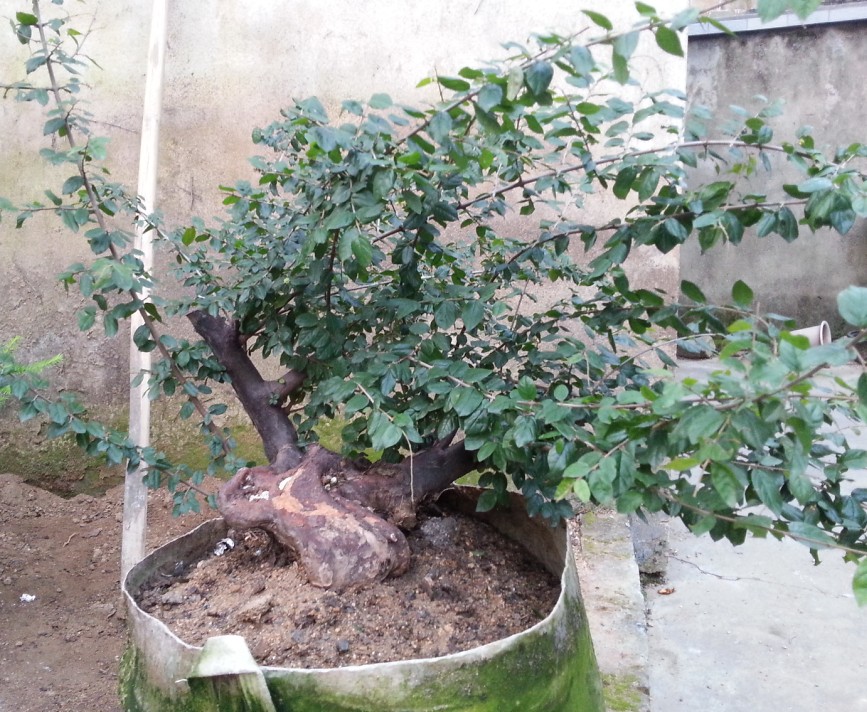 QQͼ20131103211359.jpg