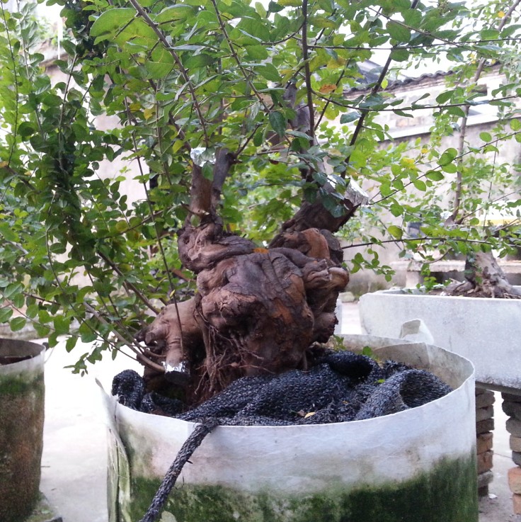 QQͼ20131103211407.jpg