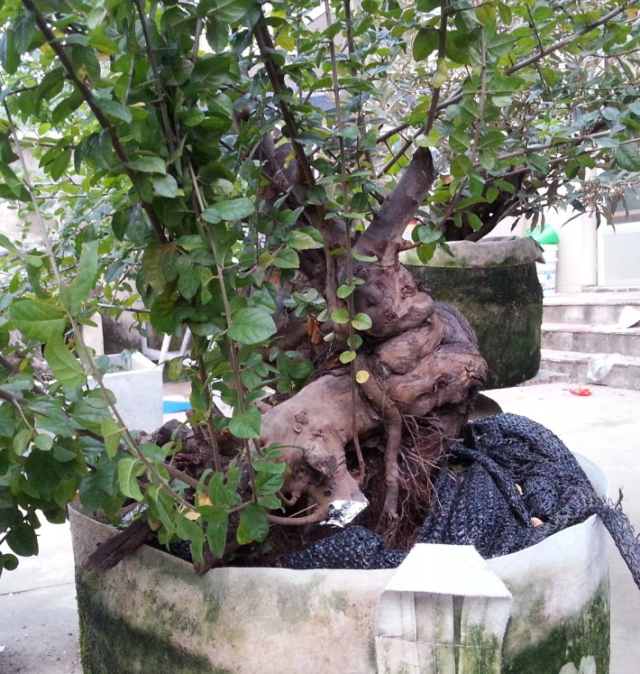 QQͼ20131103211414.jpg
