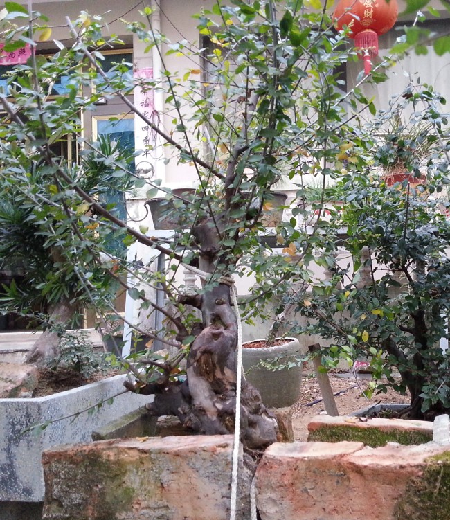 QQͼ20131103211421.jpg