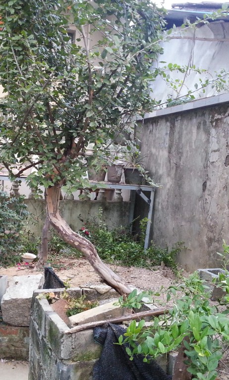QQͼ20131103211428.jpg