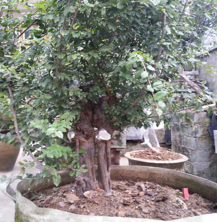 QQͼ20131103211443.jpg