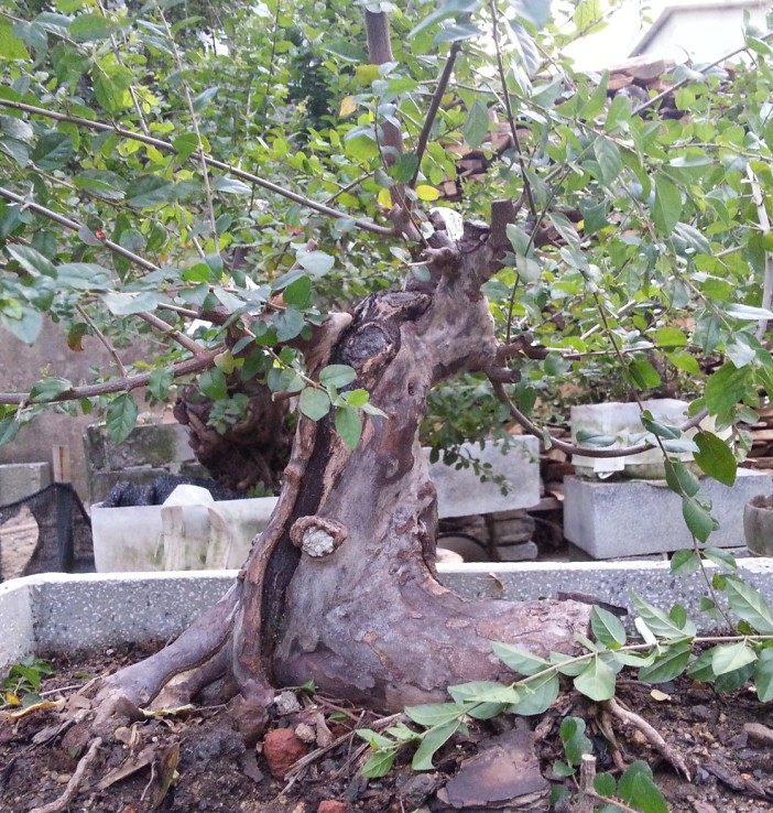 QQͼ20131103211457.jpg