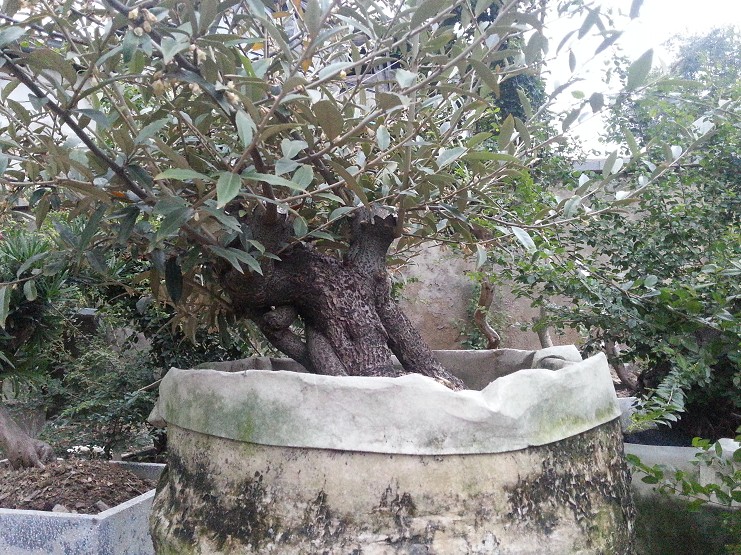 QQͼ20131103211605.jpg