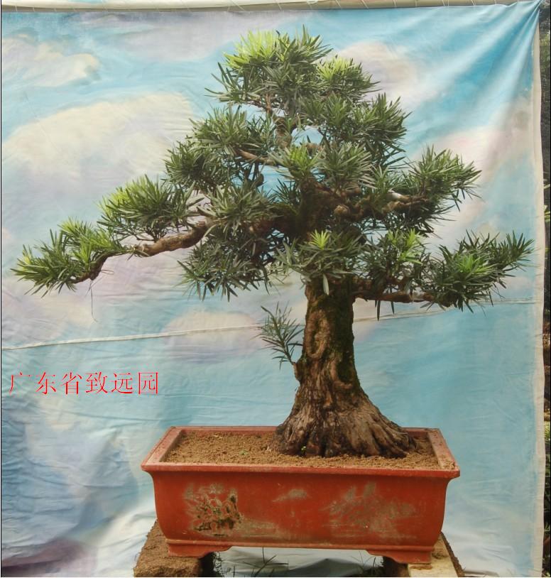 QQͼƬ20131105124913.jpg