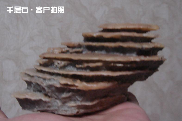 DSC04344.JPG
