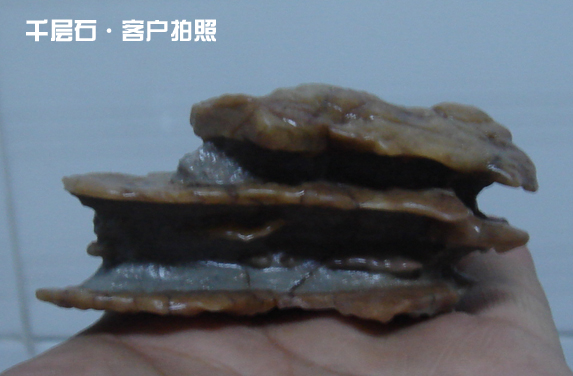 DSC04360.JPG