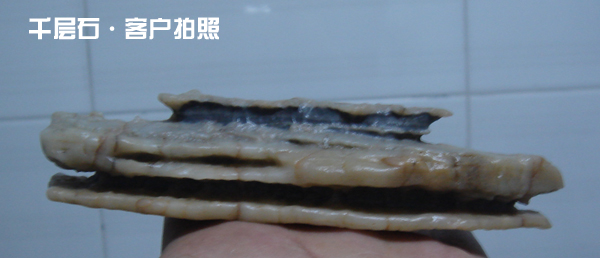DSC04369.JPG