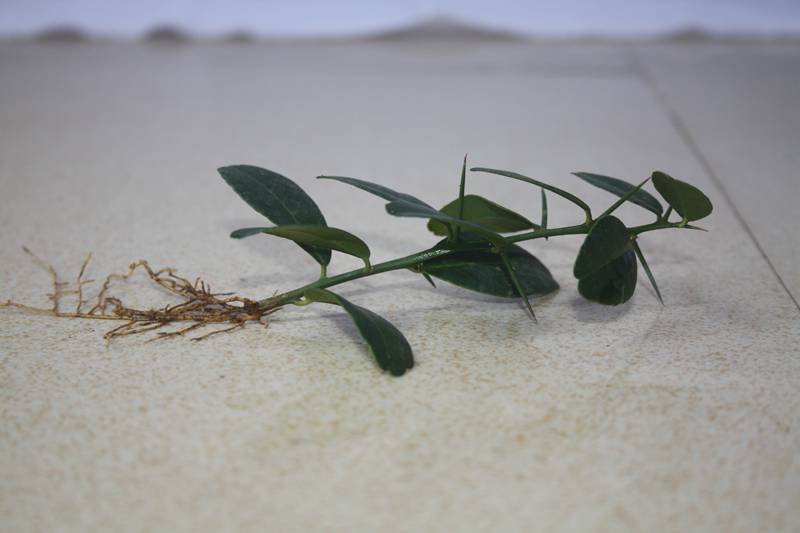 Ƭ20131026ۺ 261.jpg