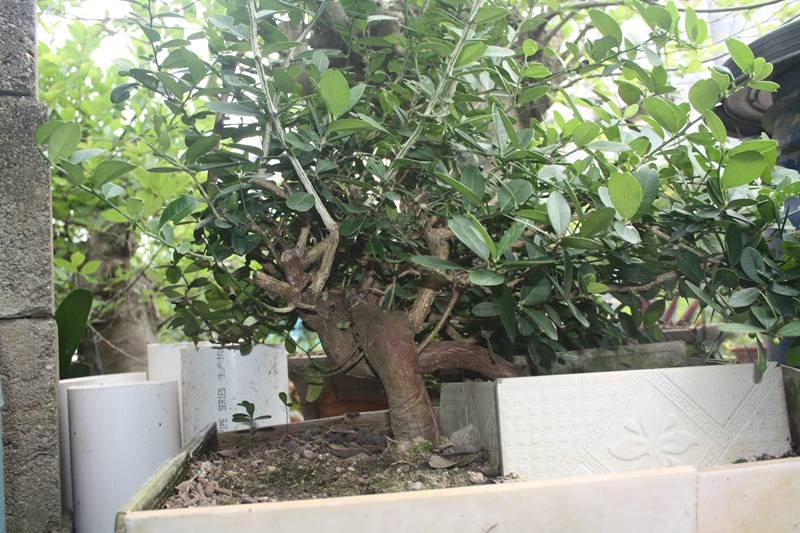 Ƭ20131026ۺ 275.jpg